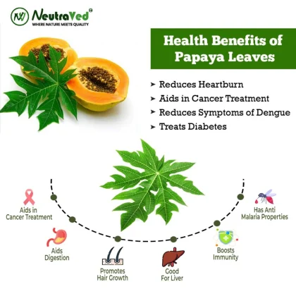 Papaya Leaves image 2